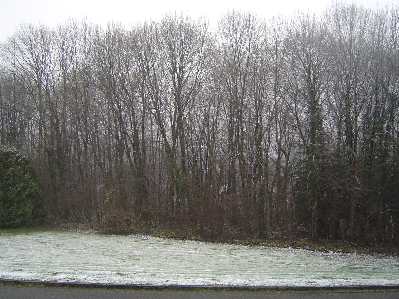 Eva in mulhouse