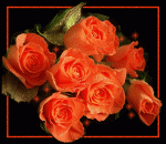 P1043883-b9a360a6ab01ff698dc7bab803326f22.gif