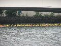 Mierennest voor start. Klik op de foto