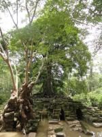 Klik op de afbeelding om de link te volgen