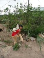 Klik op de afbeelding om de link te volgen