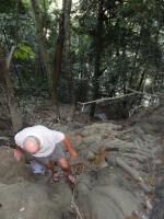 Klik op de afbeelding om de link te volgen