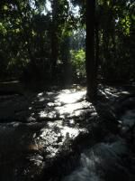 Klik op de afbeelding om de link te volgen