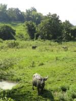 Klik op de afbeelding om de link te volgen