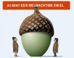 Klik op de afbeelding om de link te volgen
