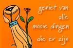 Klik op de afbeelding om de link te volgen