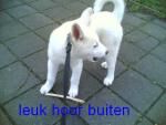 Klik op de afbeelding om de link te volgen