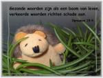 Klik op de afbeelding om de link te volgen