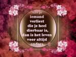 Klik op de afbeelding om de link te volgen