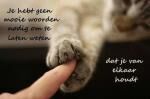 Klik op de afbeelding om de link te volgen