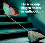 Klik op de afbeelding om de link te volgen