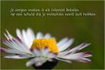 Klik op de afbeelding om de link te volgen