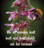 Klik op de afbeelding om de link te volgen