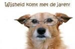Klik op de afbeelding om de link te volgen