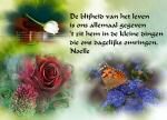 Klik op de afbeelding om de link te volgen