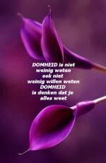 Klik op de afbeelding om de link te volgen