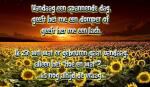 Klik op de afbeelding om de link te volgen