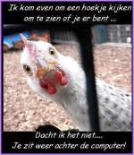 Klik op de afbeelding om de link te volgen