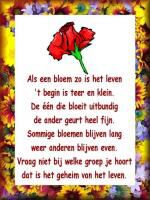 Klik op de afbeelding om de link te volgen