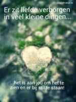 Klik op de afbeelding om de link te volgen