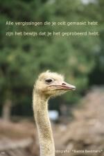 Klik op de afbeelding om de link te volgen