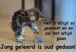Klik op de afbeelding om de link te volgen