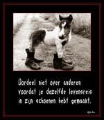 Klik op de afbeelding om de link te volgen
