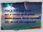 Klik op de afbeelding om de link te volgen