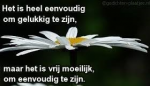 Klik op de afbeelding om de link te volgen