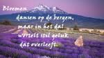 Klik op de afbeelding om de link te volgen