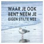 Klik op de afbeelding om de link te volgen