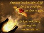 Klik op de afbeelding om de link te volgen