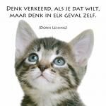 Klik op de afbeelding om de link te volgen