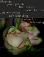 Klik op de afbeelding om de link te volgen
