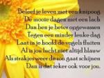 Klik op de afbeelding om de link te volgen
