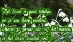 Klik op de afbeelding om de link te volgen