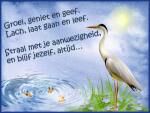 Klik op de afbeelding om de link te volgen
