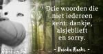 Klik op de afbeelding om de link te volgen