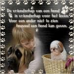 Klik op de afbeelding om de link te volgen