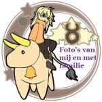 Klik op de afbeelding om de link te volgen