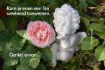 Klik op de afbeelding om de link te volgen