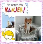 Klik op de afbeelding om de link te volgen