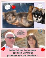 Klik op de afbeelding om de link te volgen