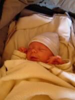 Klik op de afbeelding om de link te volgen