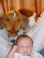 Klik op de afbeelding om de link te volgen