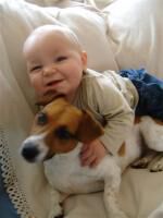 Klik op de afbeelding om de link te volgen