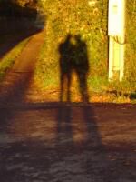 Klik op de afbeelding om de link te volgen