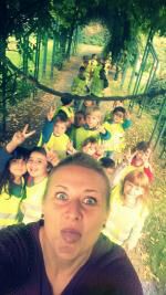 Klik op de afbeelding om de link te volgen