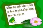 Klik op de afbeelding om de link te volgen