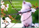 Klik op de afbeelding om de link te volgen